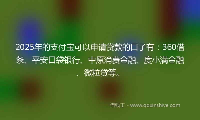 2025年的支付宝可以申请贷款的口子有：360借条、平安口袋银行、中原消费金融、度小满金融、微粒贷等。