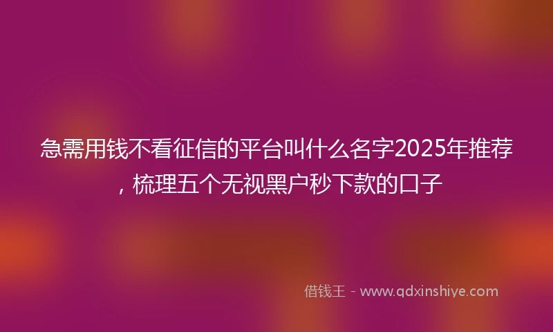 急需用钱不看征信的平台叫什么名字2025年推荐，梳理五个无视黑户秒下款的口子