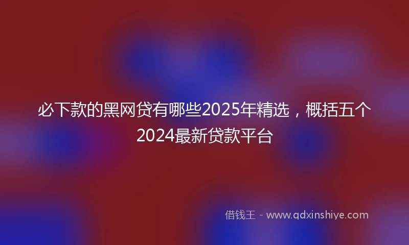 必下款的黑网贷有哪些2025年精选，概括五个2024最新贷款平台