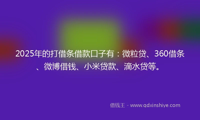 2025年的打借条借款口子有：微粒贷、360借条、微博借钱、小米贷款、滴水贷等。