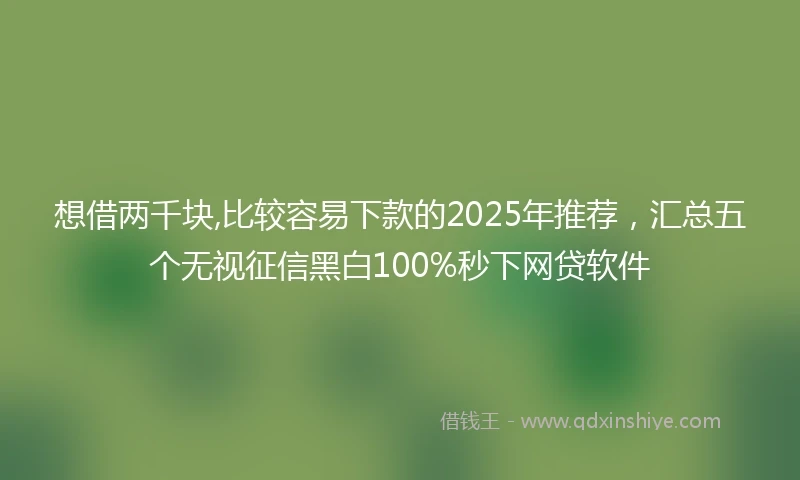想借两千块,比较容易下款的2025年推荐，汇总五个无视征信黑白100%秒下网贷软件