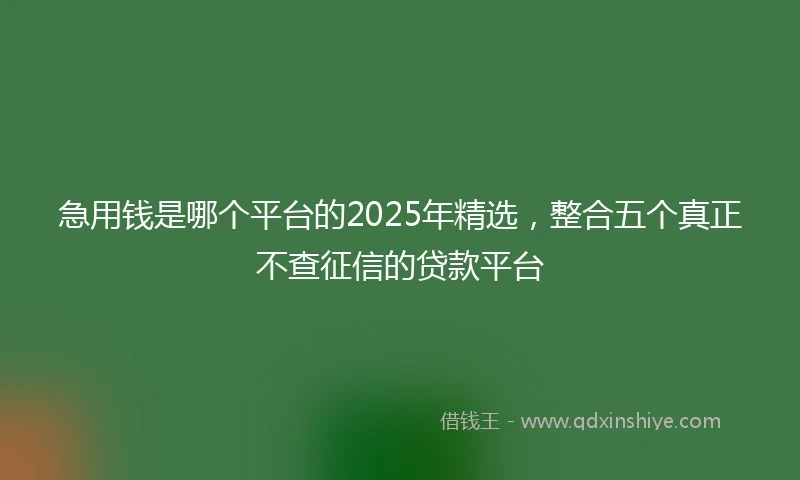 急用钱是哪个平台的2025年精选，整合五个真正不查征信的贷款平台