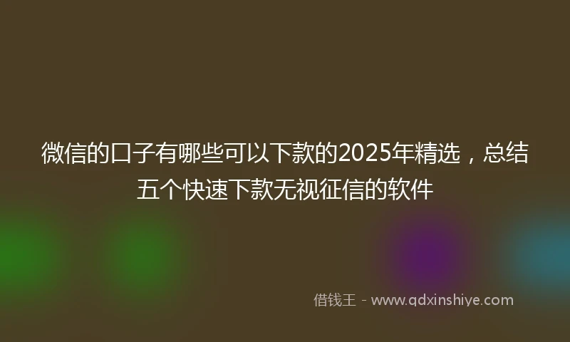 微信的口子有哪些可以下款的2025年精选，总结五个快速下款无视征信的软件
