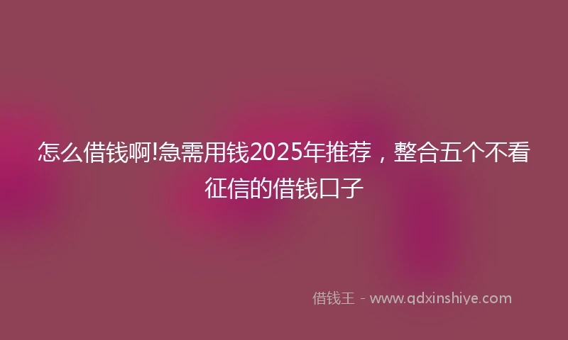 怎么借钱啊!急需用钱2025年推荐，整合五个不看征信的借钱口子