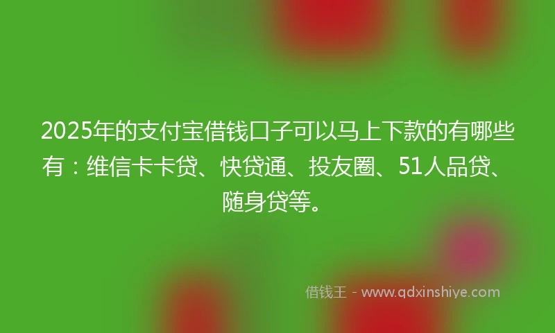 2025年的支付宝借钱口子可以马上下款的有哪些有：维信卡卡贷、快贷通、投友圈、51人品贷、随身贷等。