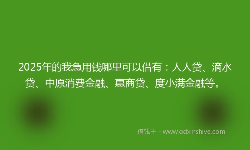 2025年的我急用钱哪里可以借有：人人贷、滴水贷、中原消费金融、惠商贷、度小满金融等。
