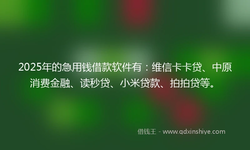 2025年的急用钱借款软件有：维信卡卡贷、中原消费金融、读秒贷、小米贷款、拍拍贷等。