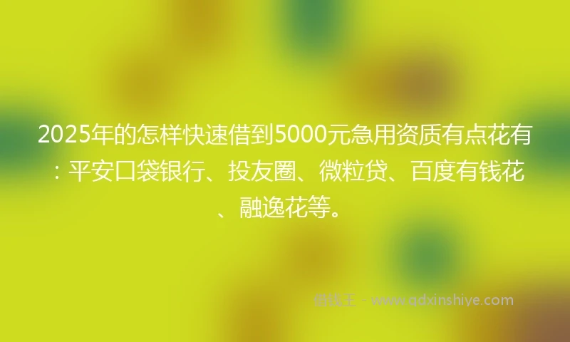 2025年的怎样快速借到5000元急用资质有点花有：平安口袋银行、投友圈、微粒贷、百度有钱花、融逸花等。