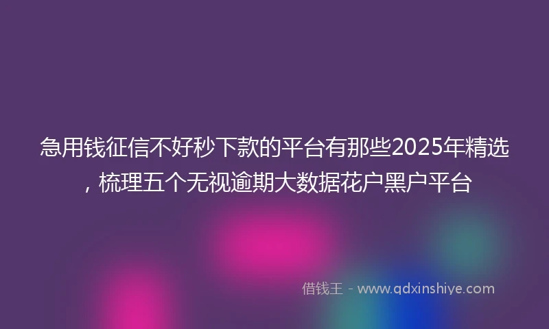 急用钱征信不好秒下款的平台有那些2025年精选，梳理五个无视逾期大数据花户黑户平台