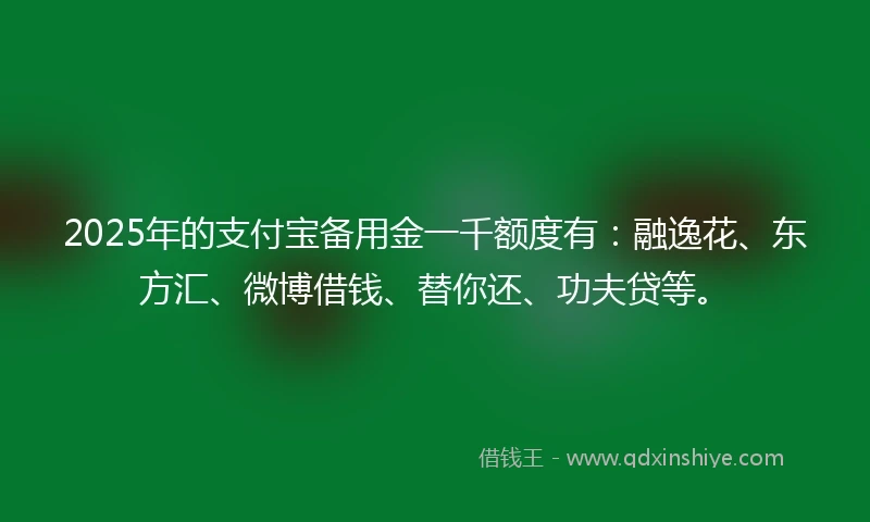2025年的支付宝备用金一千额度有：融逸花、东方汇、微博借钱、替你还、功夫贷等。