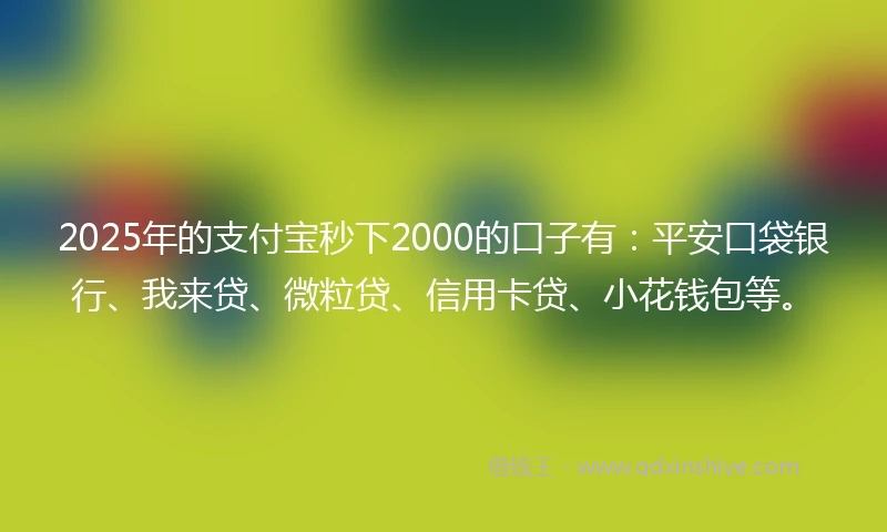 2025年的支付宝秒下2000的口子有：平安口袋银行、我来贷、微粒贷、信用卡贷、小花钱包等。
