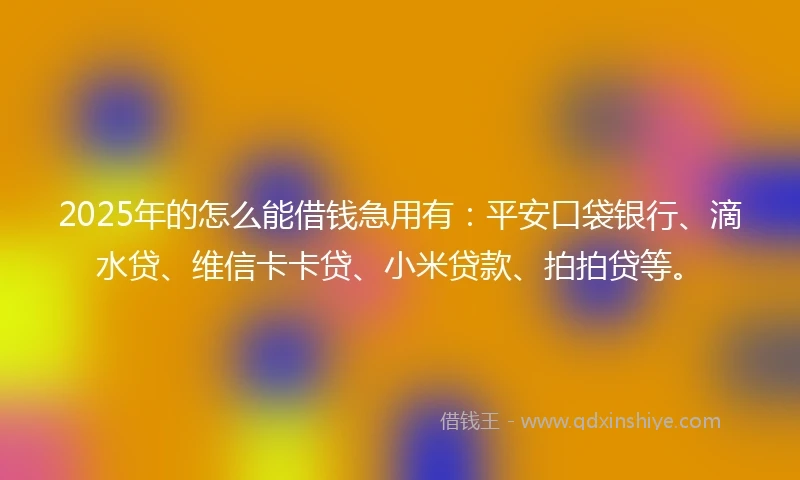 2025年的怎么能借钱急用有：平安口袋银行、滴水贷、维信卡卡贷、小米贷款、拍拍贷等。