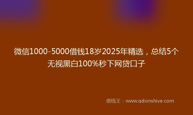 微信1000-5000借钱18岁2025年精选，总结5个无视黑白100%秒下网贷口子