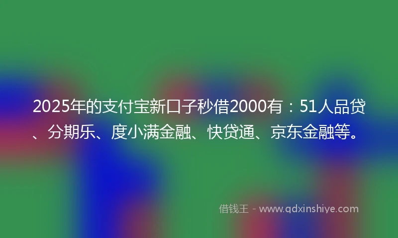 2025年的支付宝新口子秒借2000有：51人品贷、分期乐、度小满金融、快贷通、京东金融等。