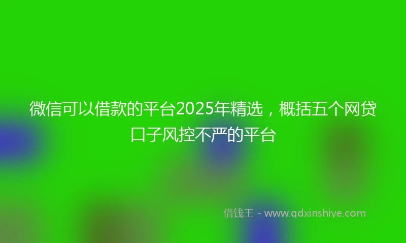 微信可以借款的平台2025年精选,概括五个网贷口子风控不严的平台
