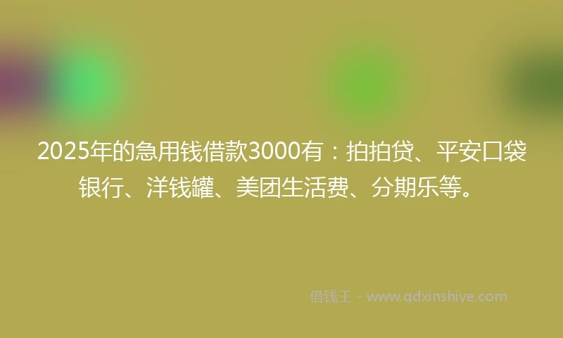 2025年的急用钱借款3000有：拍拍贷、平安口袋银行、洋钱罐、美团生活费、分期乐等。
