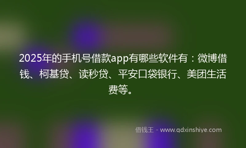 2025年的手机号借款app有哪些软件有：微博借钱、柯基贷、读秒贷、平安口袋银行、美团生活费等。
