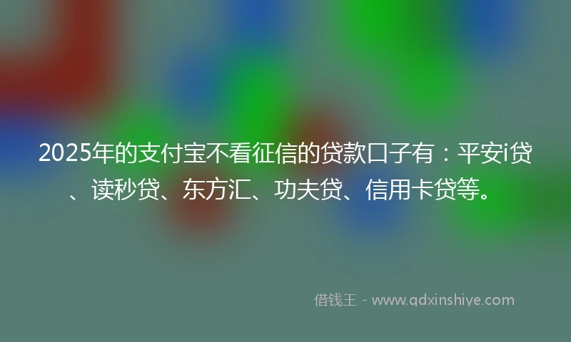 2025年的支付宝不看征信的贷款口子有：平安i贷、读秒贷、东方汇、功夫贷、信用卡贷等。