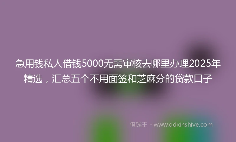 急用钱私人借钱5000无需审核去哪里办理2025年精选，汇总五个不用面签和芝麻分的贷款口子