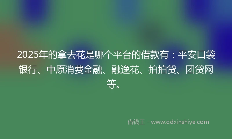 2025年的拿去花是哪个平台的借款有：平安口袋银行、中原消费金融、融逸花、拍拍贷、团贷网等。