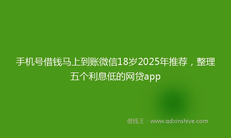 手机号借钱马上到账微信18岁2025年推荐，整理五个利息低的网贷app