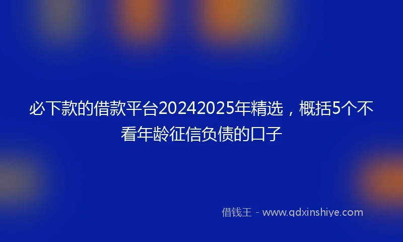 必下款的借款平台20242025年精选，概括5个不看年龄征信负债的口子