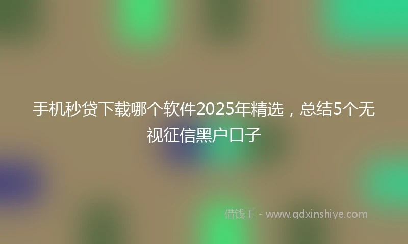 手机秒贷下载哪个软件2025年精选,总结5个无视征信黑户口子