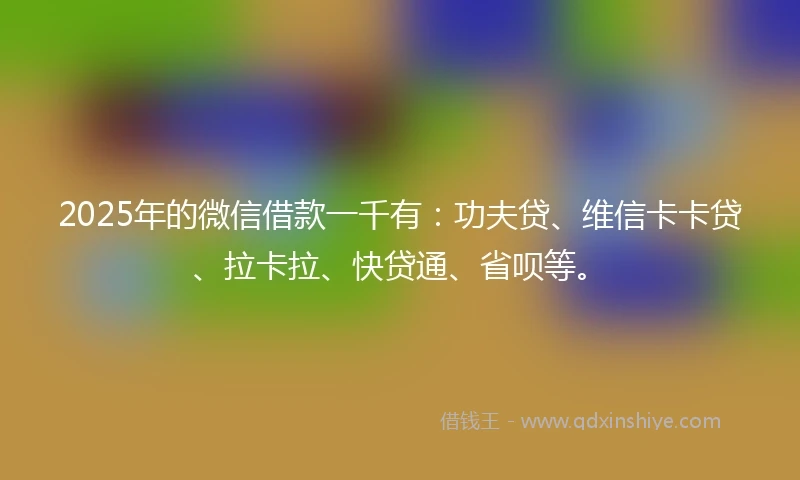 2025年的微信借款一千有：功夫贷、维信卡卡贷、拉卡拉、快贷通、省呗等。