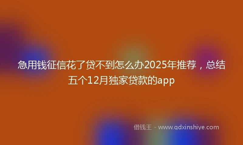 急用钱征信花了贷不到怎么办2025年推荐，总结五个12月独家贷款的app