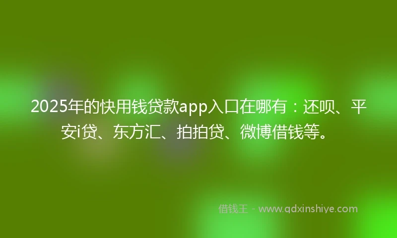 2025年的快用钱贷款app入口在哪有：还呗、平安i贷、东方汇、拍拍贷、微博借钱等。