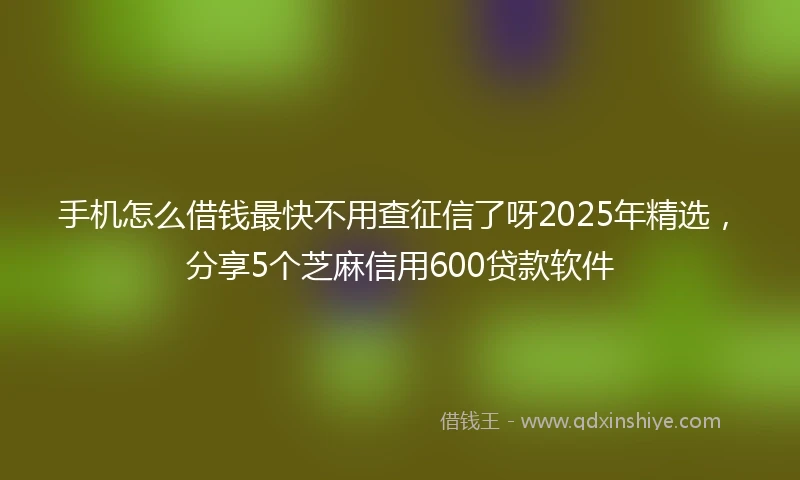 手机怎么借钱最快不用查征信了呀2025年精选，分享5个芝麻信用600贷款软件