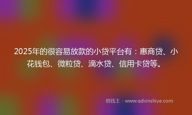 2025年的很容易放款的小贷平台有：惠商贷、小花钱包、微粒贷、滴水贷、信用卡贷等。