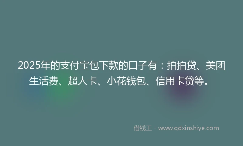 2025年的支付宝包下款的口子有：拍拍贷、美团生活费、超人卡、小花钱包、信用卡贷等。