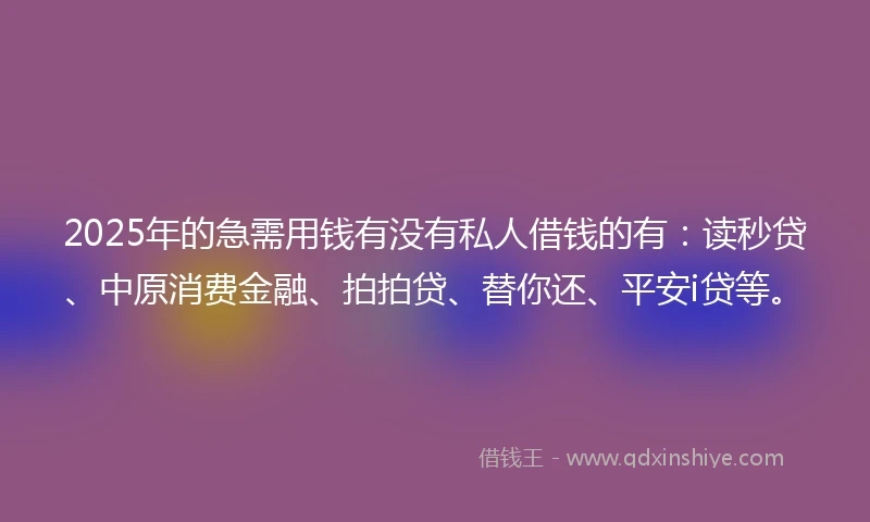 2025年的急需用钱有没有私人借钱的有：读秒贷、中原消费金融、拍拍贷、替你还、平安i贷等。