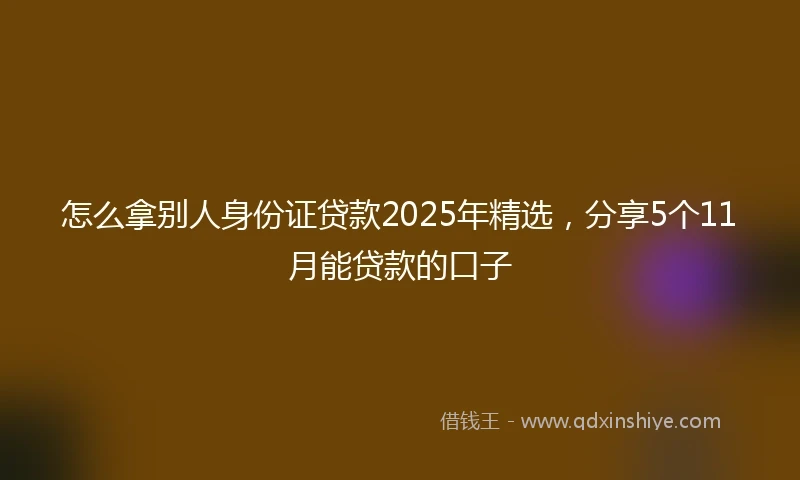 怎么拿别人身份证贷款2025年精选，分享5个11月能贷款的口子