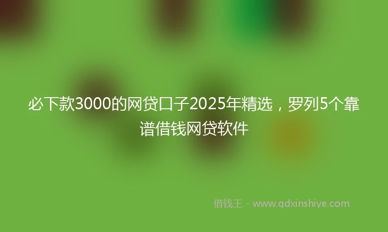 必下款3000的网贷口子2025年精选，罗列5个靠谱借钱网贷软件