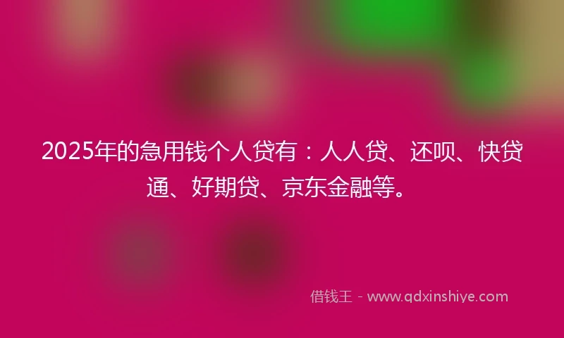 2025年的急用钱个人贷有：人人贷、还呗、快贷通、好期贷、京东金融等。