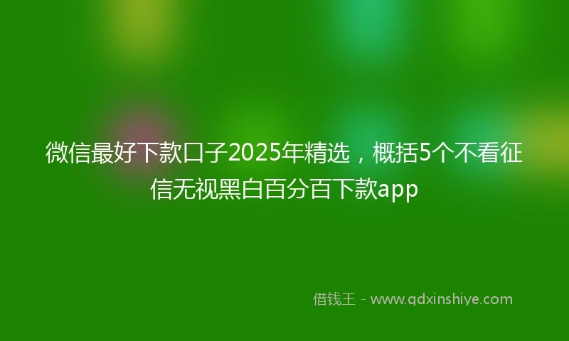 微信最好下款口子2025年精选，概括5个不看征信无视黑白百分百下款app