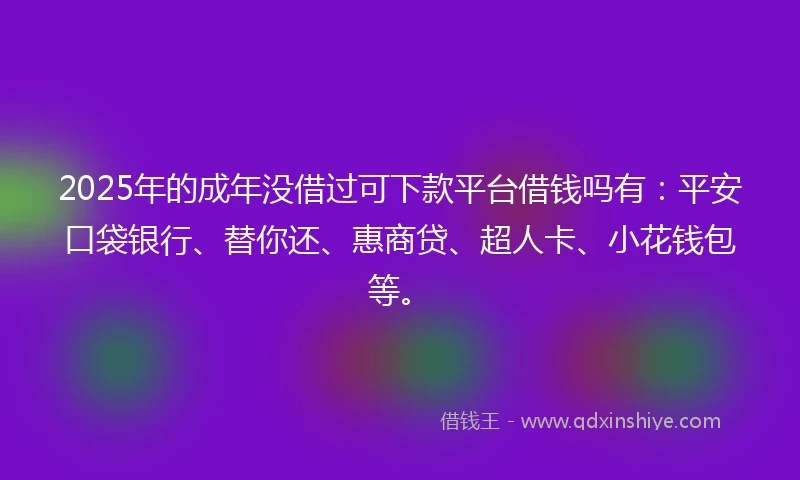 2025年的成年没借过可下款平台借钱吗有：平安口袋银行、替你还、惠商贷、超人卡、小花钱包等。