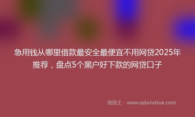 急用钱从哪里借款最安全最便宜不用网贷2025年推荐，盘点5个黑户好下款的网贷口子