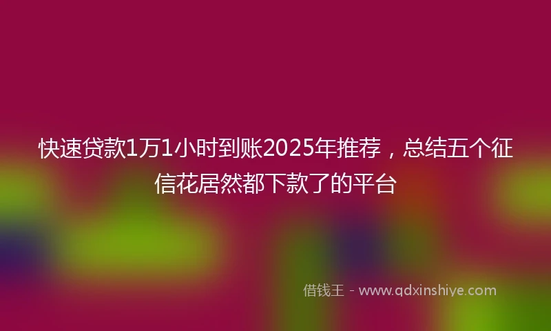 快速贷款1万1小时到账2025年推荐，总结五个征信花居然都下款了的平台