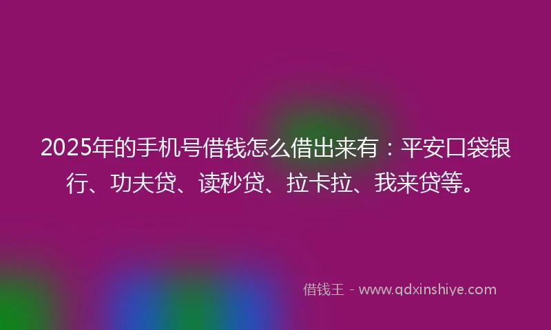 2025年的手机号借钱怎么借出来有：平安口袋银行、功夫贷、读秒贷、拉卡拉、我来贷等。