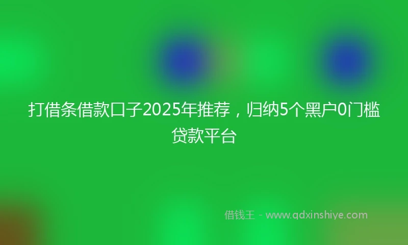 打借条借款口子2025年推荐，归纳5个黑户0门槛贷款平台