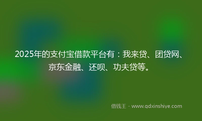 2025年的支付宝借款平台有：我来贷、团贷网、京东金融、还呗、功夫贷等。
