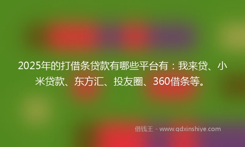 2025年的打借条贷款有哪些平台有：我来贷、小米贷款、东方汇、投友圈、360借条等。
