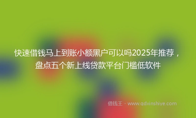 快速借钱马上到账小额黑户可以吗2025年推荐，盘点五个新上线贷款平台门槛低软件