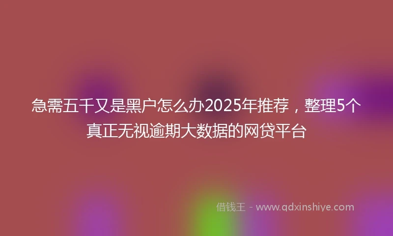 急需五千又是黑户怎么办2025年推荐，整理5个真正无视逾期大数据的网贷平台