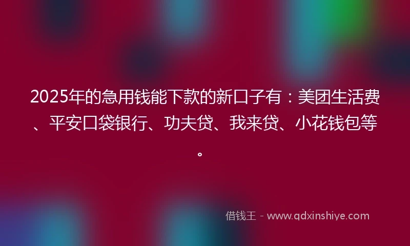 2025年的急用钱能下款的新口子有：美团生活费、平安口袋银行、功夫贷、我来贷、小花钱包等。