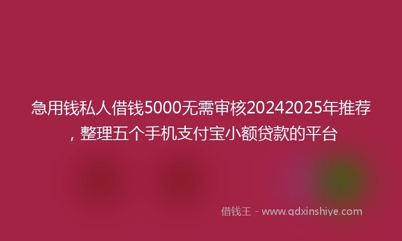 急用钱私人借钱5000无需审核20242025年推荐，整理五个手机支付宝小额贷款的平台