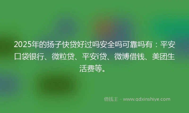 2025年的扬子快贷好过吗安全吗可靠吗有：平安口袋银行、微粒贷、平安i贷、微博借钱、美团生活费等。